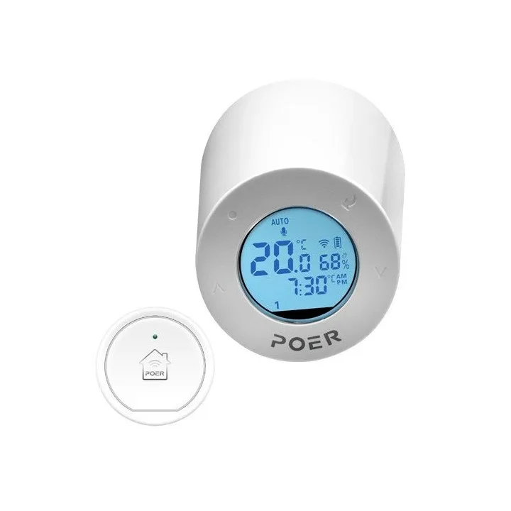 POER WIFI PTG10 - Gateway Intelligente per il Controllo del Riscaldamento